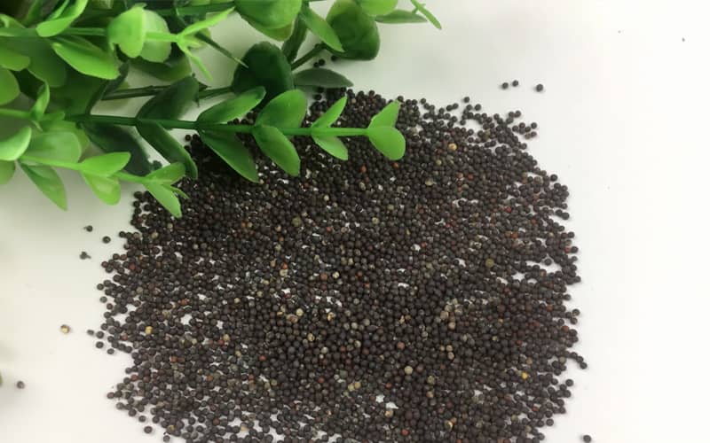 насіння зелені