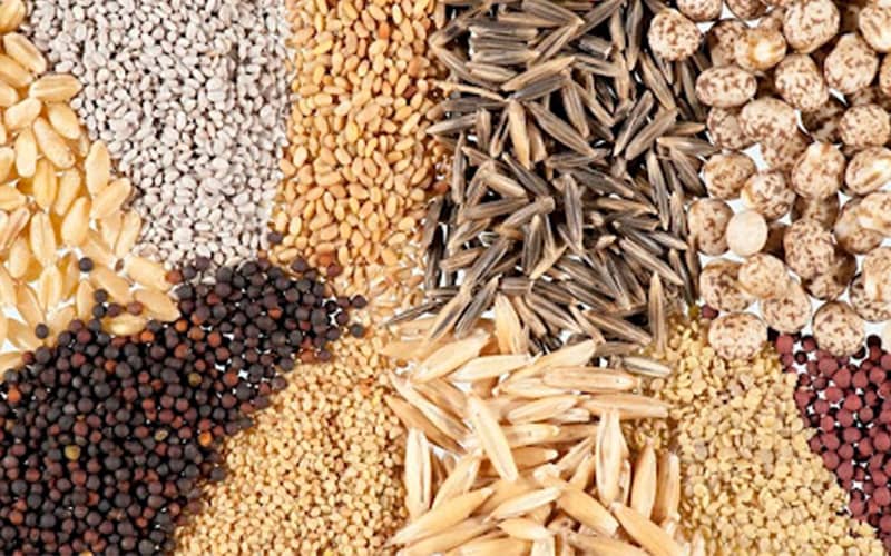 купити насіння квітів в україні